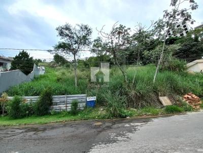 Terreno Residencial para Venda, em Volta Redonda, bairro Jardim Am�lia