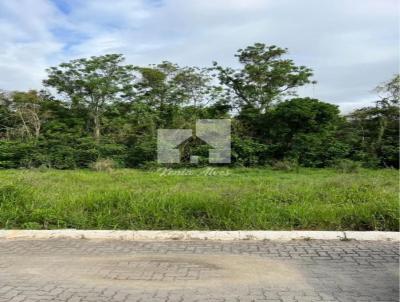 Terreno Residencial para Venda, em Pinheiral, bairro Varj�o