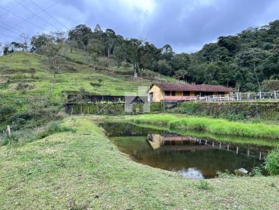 S�tio para Venda, em Rio Claro, bairro L�dice, 5 dormit�rios, 4 su�tes